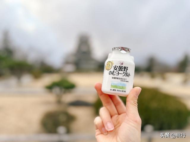 备受欧美游客喜欢的雪国，被我找到了