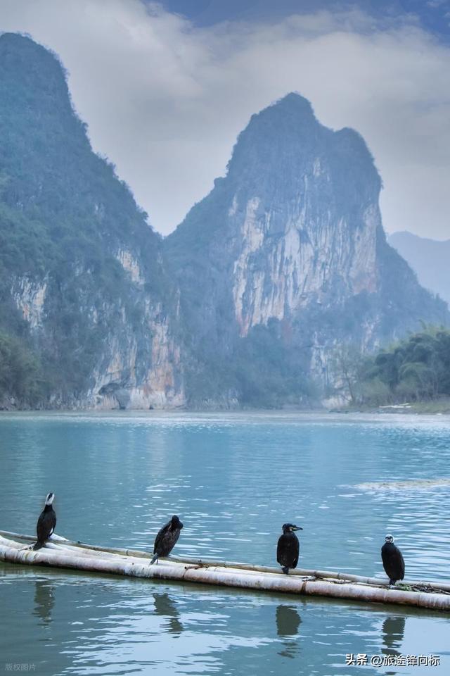 藏不住了，2026广西文旅玩法，解锁广西文旅新维度免费之外是惊喜