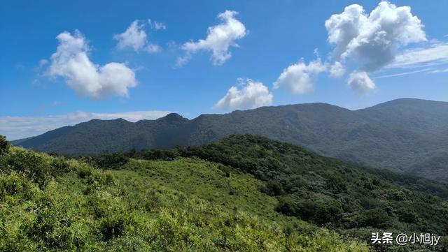 两次本溪南岭徒步记｜高山草甸，湖池松林，我被南岭种草