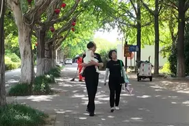 宿迁人家门口的“避暑圣地”之：漫步林荫道 盛夏有清凉图片