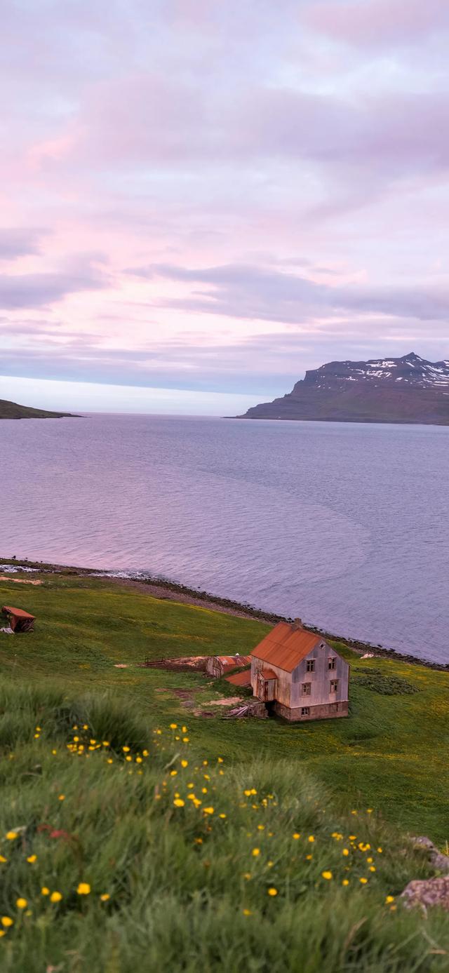壁纸| 日有小暖，岁有小安