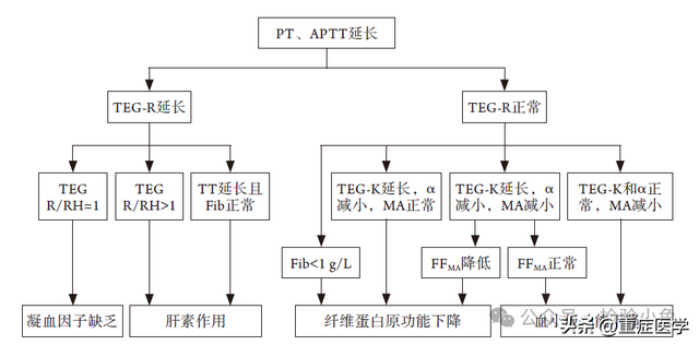 重症患者凝血功能障碍标准化评估中国专家共识