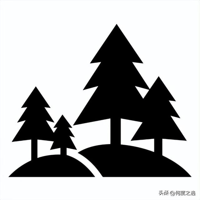 2026苏格兰：整装待发，即刻闪耀