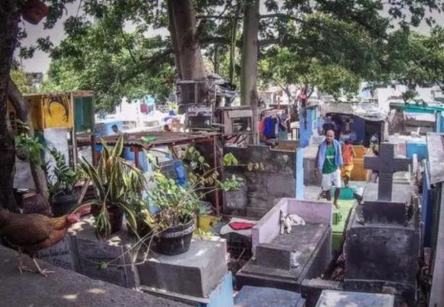 探秘菲律宾"活死人区"，棺材上睡觉做饭，小孩这里出生，白骨为伴