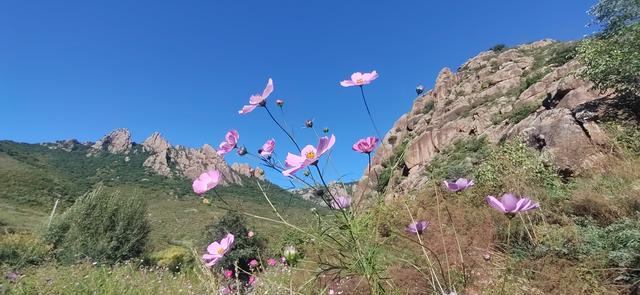 克什克腾旗大青山