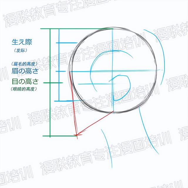 零基础绘画教程！正脸和侧脸的超详细画法讲解