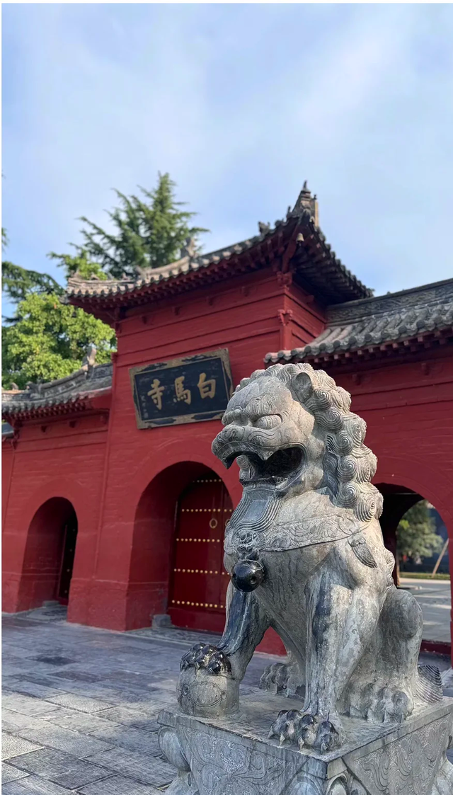 西安没想到，南京也没想到，如今的中国洛阳	，已成为全国焦点