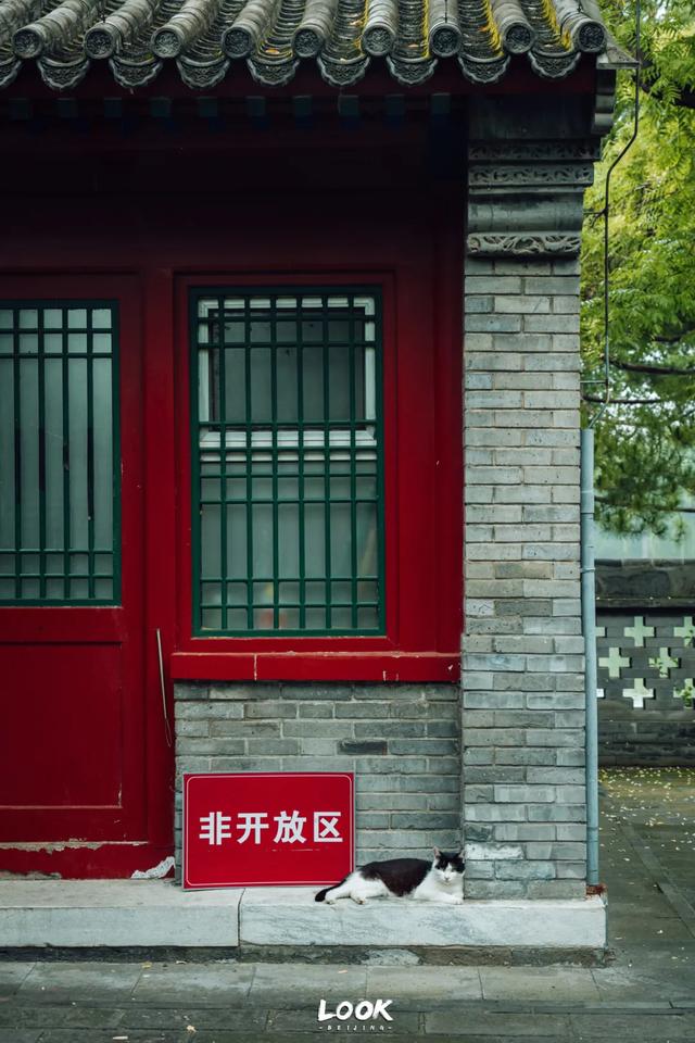 夏天来北京，就为了逛这座公园