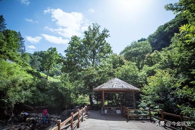 154家新景区，商场卖场也凑热闹？年轻人不看牌子，只认真实体验