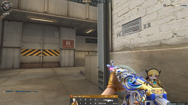 《穿越火线》在全国巅峰赛的玩家都喜欢用什么武器系列？