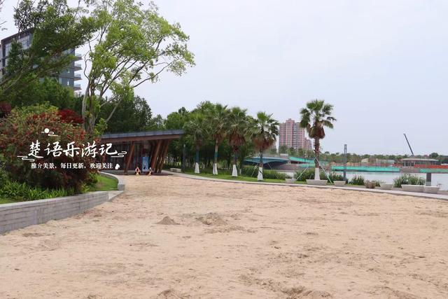浙江宁波的新公园，马鞭草花不开的时候也很美，烟紫网红桥很出圈
