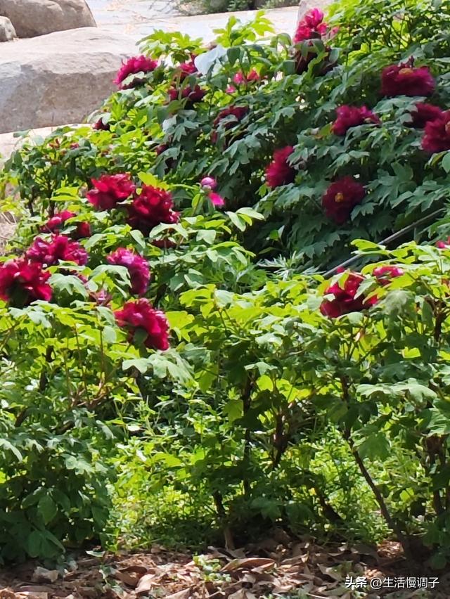 武汉十二月——一月一帧藏走过2025的四季光影