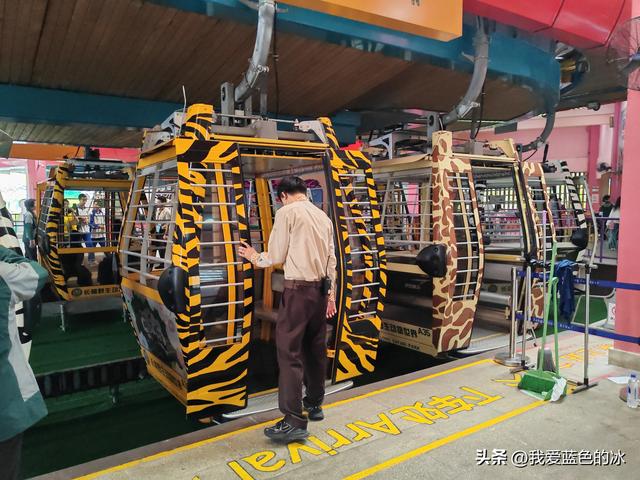 参观广州长隆野生动物园，全程感觉眼累手累腿不累