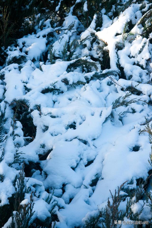 晨晓微曦的雪棱光