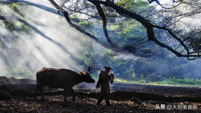 俗话“七龙治水、四牛耕田”，2026丙午马年，有啥讲究？