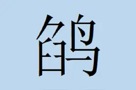 经常说，但不会写的汉字——鹐图片