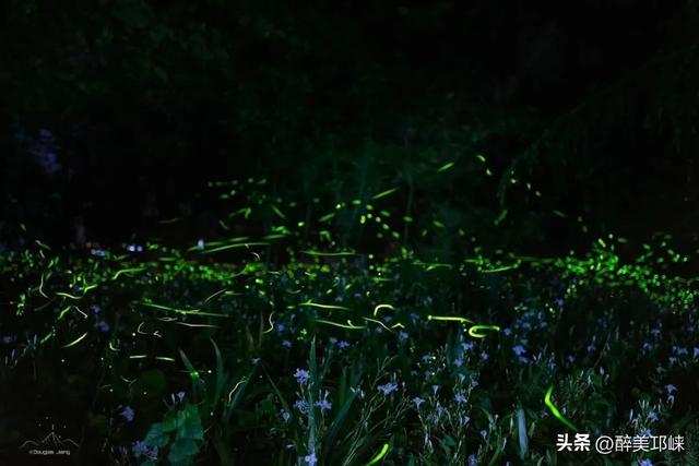 又双叒叕上央视啦→
