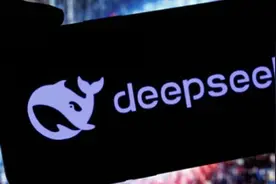 DeepSeek爆火28天，国内大模型同行都在干什么？图片