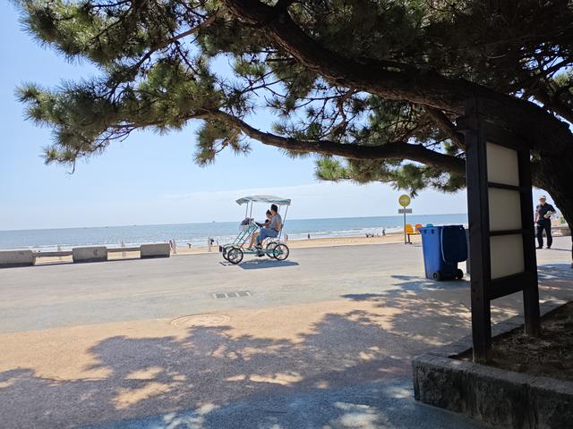 为什么说，自由行是高级旅游，跟团游是低级旅游？