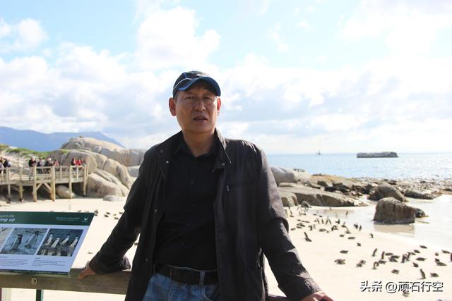 南部非洲：南非开普敦企鹅岛