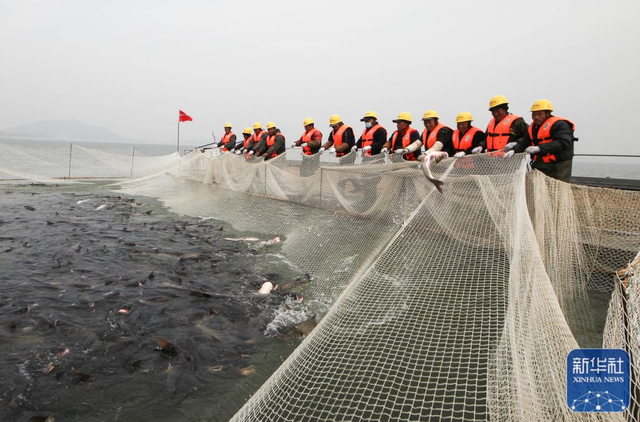 这里不光有风筝，还坐落着山东第一大水库