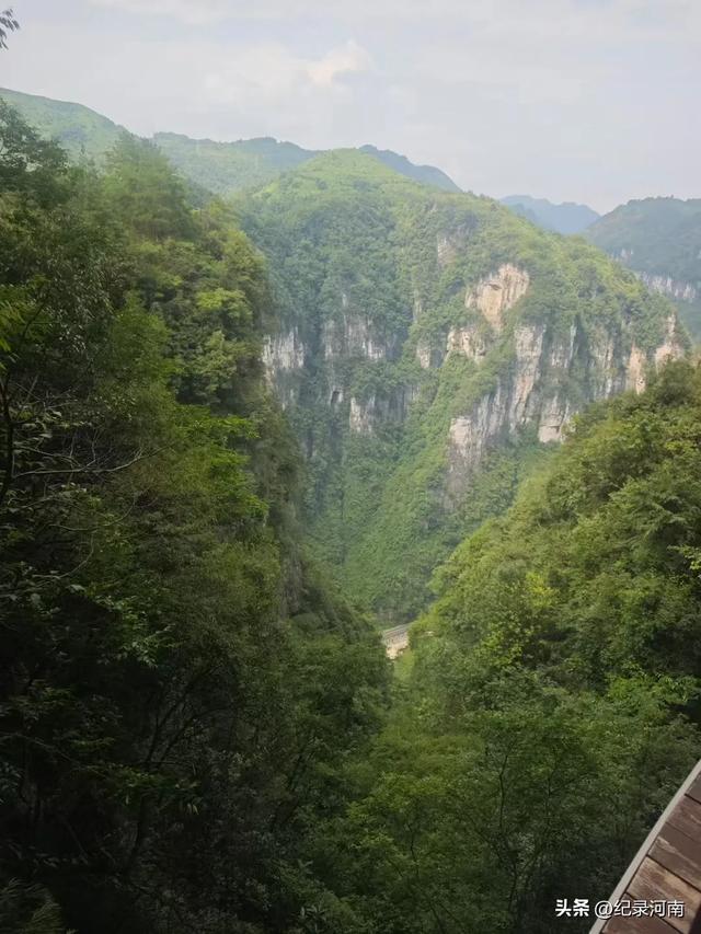 人间仙境南阳市西峡县老界岭避暑散记:寻一方清凉,品山野之味