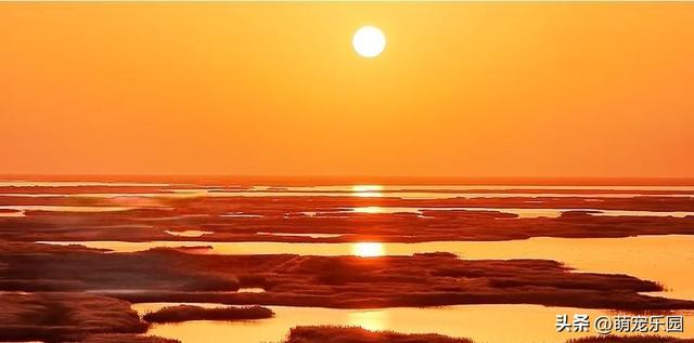 黄昏降临台特玛湖，夕阳沉落芦苇荡，整片水域宛如瑰宝