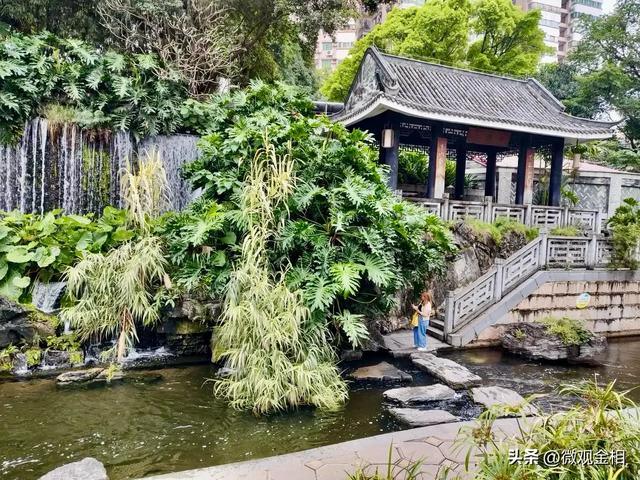 一年四季都可以去打卡的城市绿州麓湖