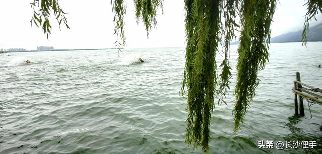 柴米油盐调味诗与远方，抚仙湖那一抹红