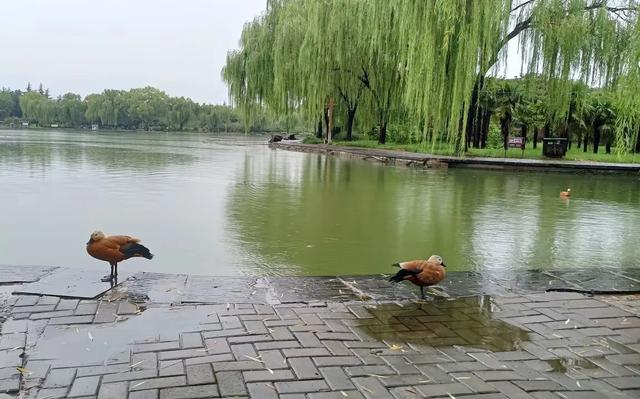 原来人生是场“奥特曼打小怪兽”的游戏！