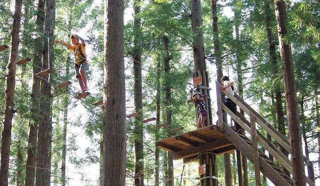 日本亲子游推荐「FOREST ADVENTURE」：享受森林冒险的刺激