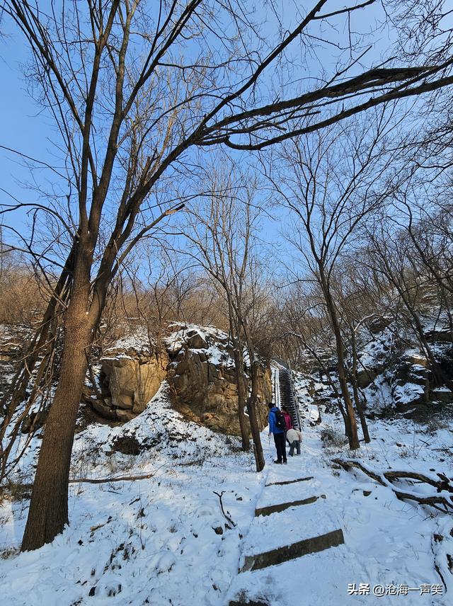 雪山雪地雪景，美树美影美景，蓝天如野美景如画，一切尽在不言中