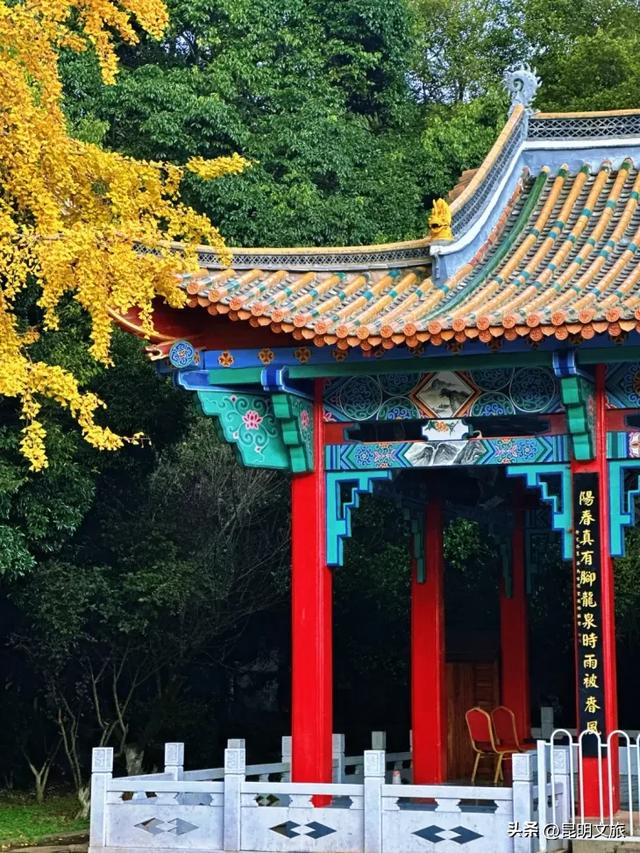 初冬氛围感出片计划,走起!昆明这份打卡攻略速速收藏→