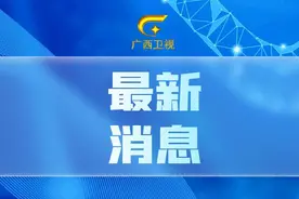广西教育厅发布师德师风监督举报电话和邮箱图片