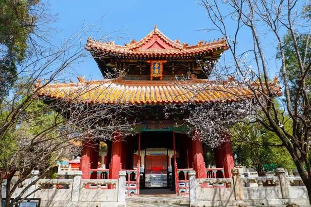 济宁上榜中国百强城市，你的心动之旅从这里开启