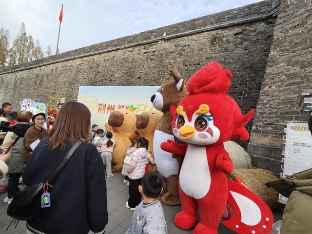 秋日好风景，荆州邀您来“打野”