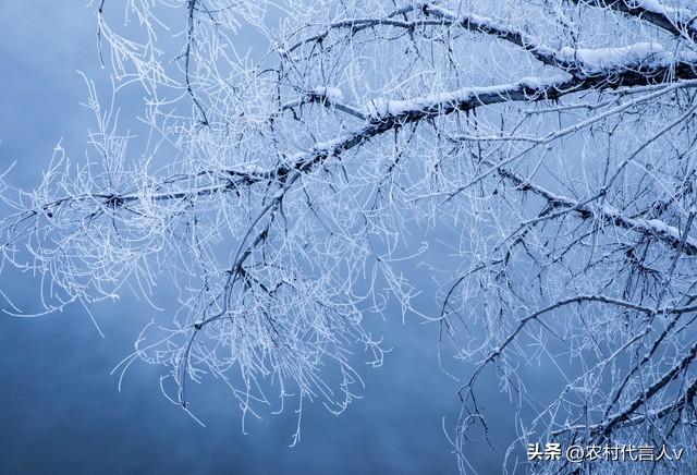 “白天立冬，穿单衣；晚上立冬，冻死牛”，今年立冬在几点？