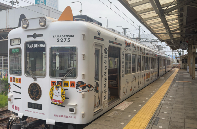 中日差距有多大？看5000元人民币，在日本能游玩多久就知道了