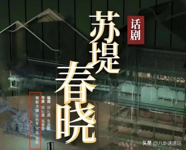 朱媛媛去世仅5月，辛柏青又传来坏消息，原来他还没走出痛苦