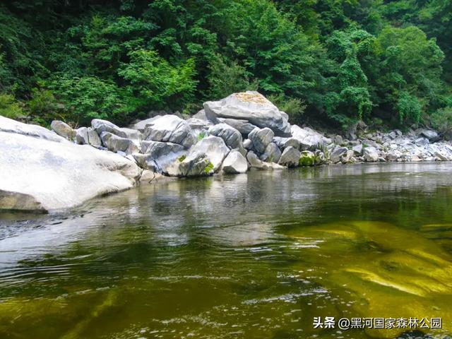 秋意初染，黑河美景正当时！一键开启赏秋之旅~