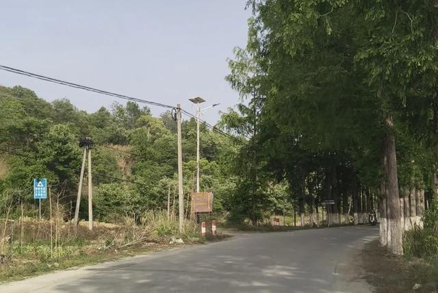 大别山鄂东淘汰的老318国道,是被人遗忘了吗?