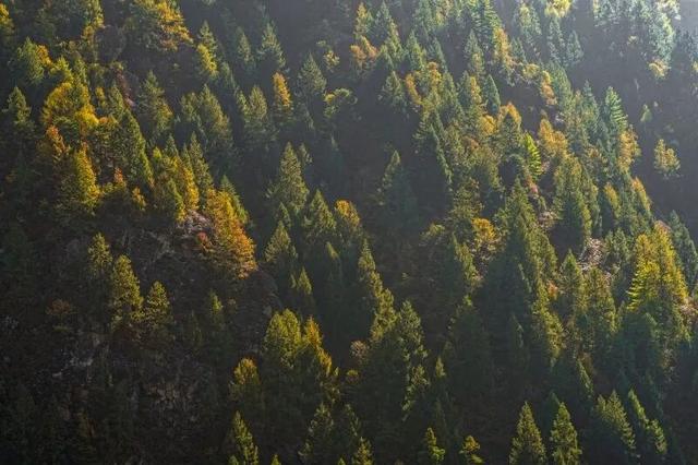 秋日西藏限定美景上线！摄影师私藏机位，拍出无敌风光大片