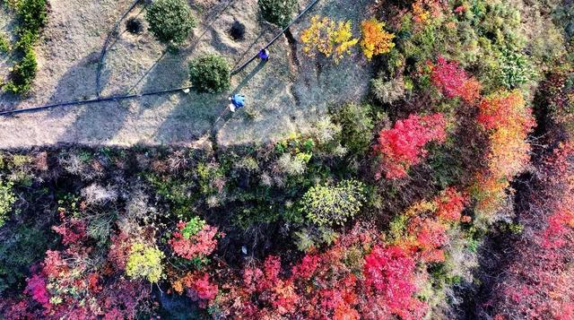 孟津区：黄河小浪底下游河岸别样冬韵