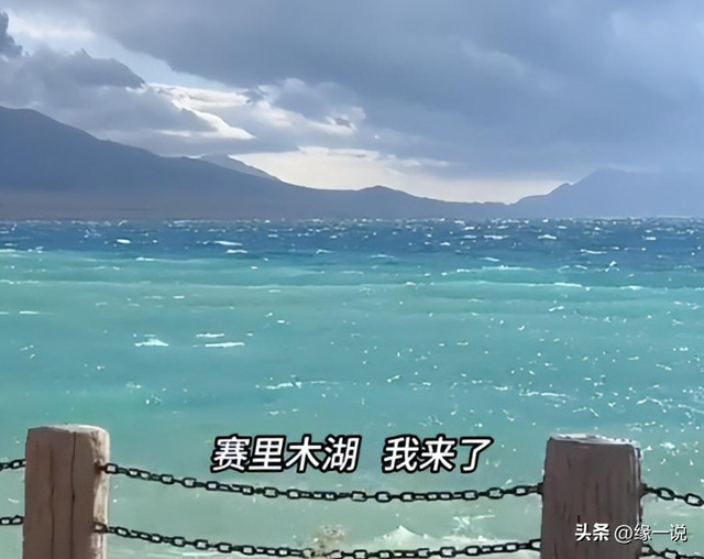 赛里木湖景区“屎满为患”，游客们都就地解决，网友：都怪撒贝宁