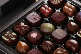 康熙第一次吃巧克力，看了900多字的“说明书”图片