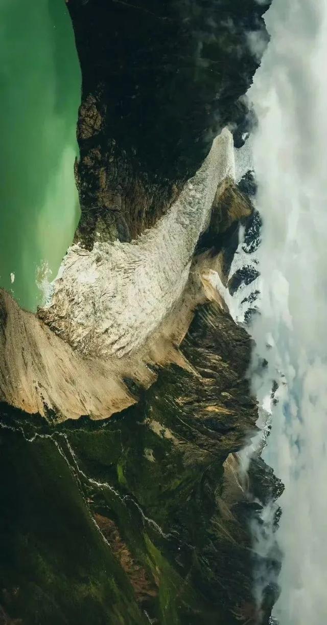 极地那曲不仅美在雪山湖泊，更美在每一棵生机盎然的树