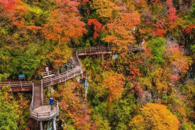 安康南宫山：五彩秋色惹人醉