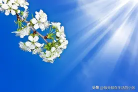 容易漏财的10个习惯图片