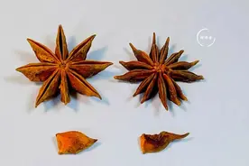 买八角时，要看清“钩角”和“直角”，避免买到“假八角”，假的八角有毒！图片