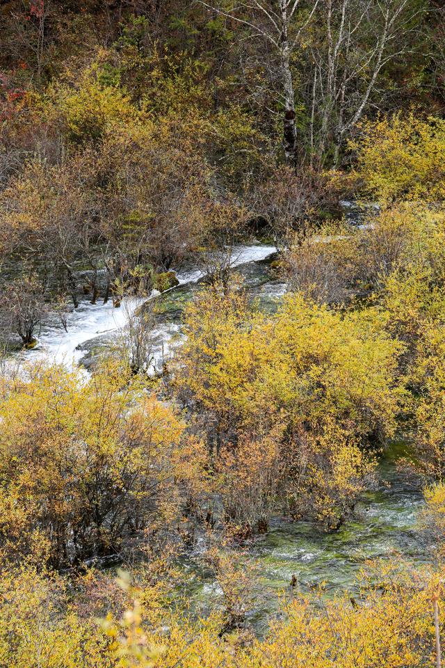 光影札记 | 秋染九寨：一半湖水蓝，一半山林红